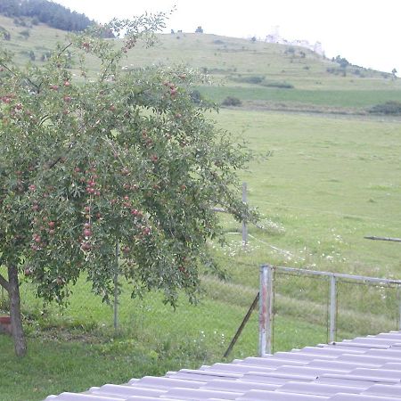 Penzion Drevenik Hotel Spišské Podhradie Bagian luar foto