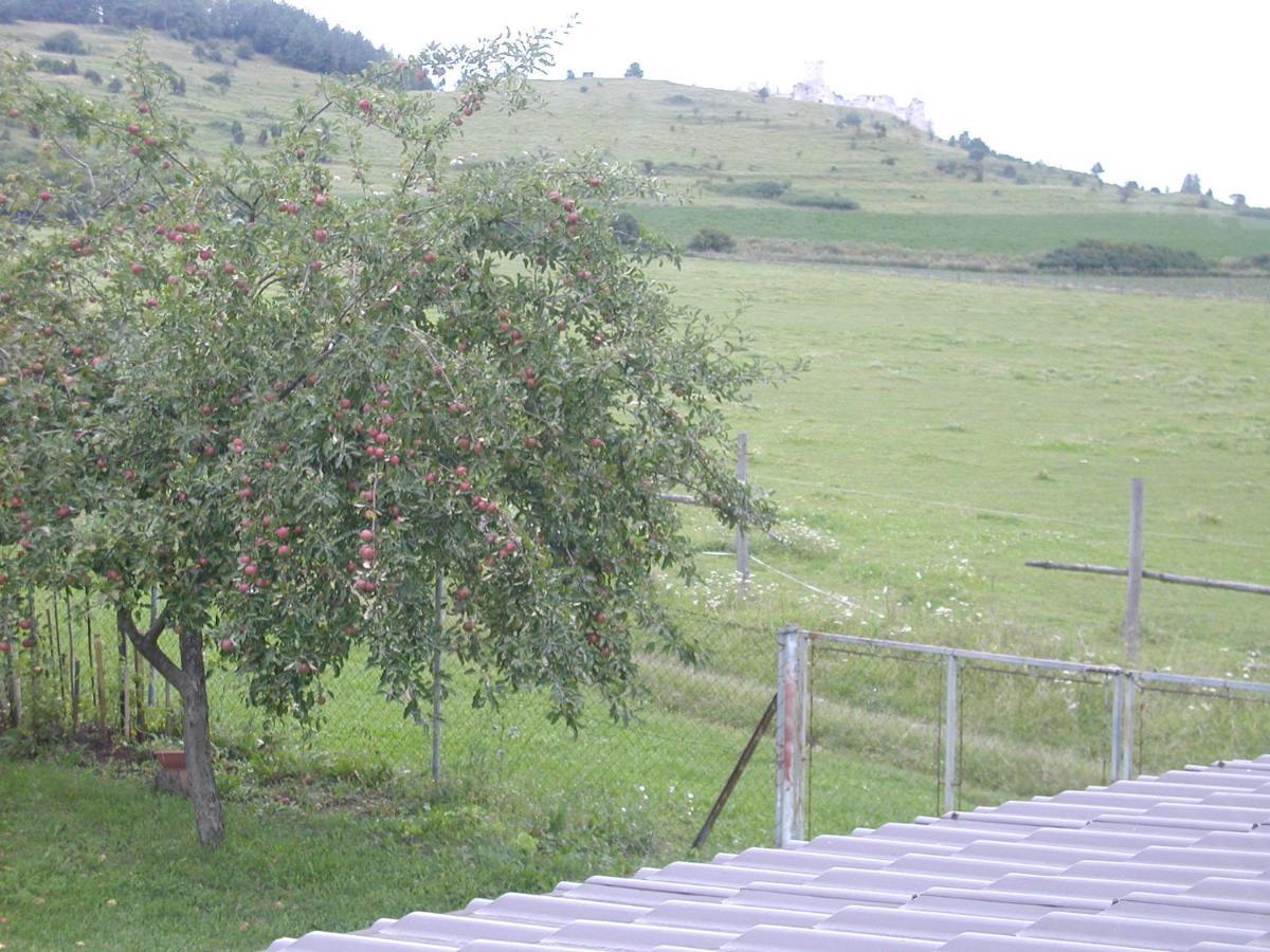 Penzion Drevenik Hotel Spišské Podhradie Bagian luar foto