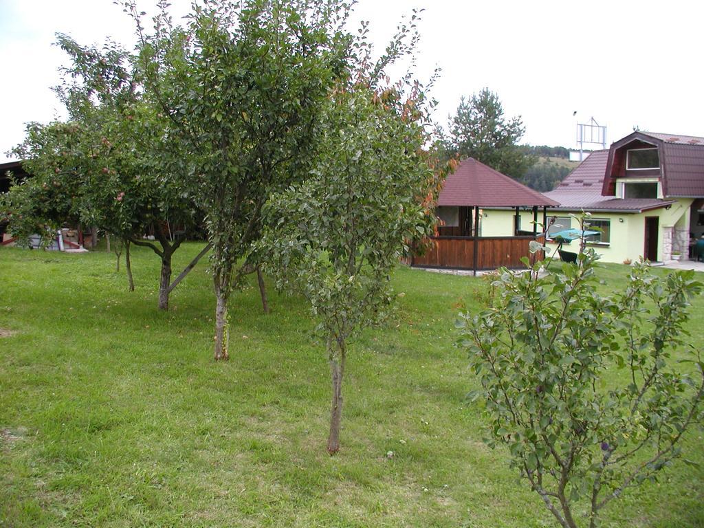 Penzion Drevenik Hotel Spišské Podhradie Bagian luar foto